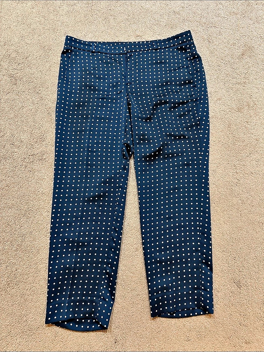 Banana Republic Avery Pant Polka Dot Ankle Pants Blue & White Size 12